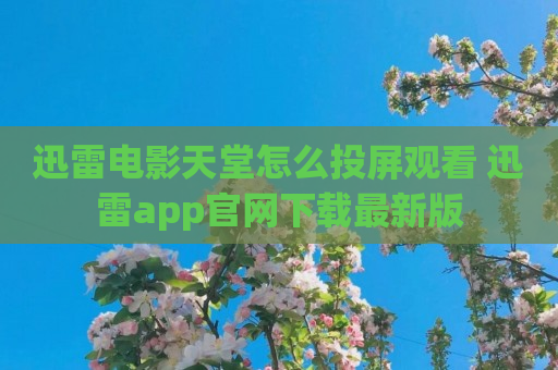 迅雷电影天堂怎么投屏观看 迅雷app官网下载最新版