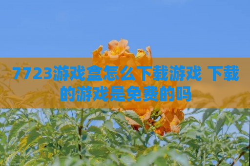 7723游戏盒怎么下载游戏 下载的游戏是免费的吗