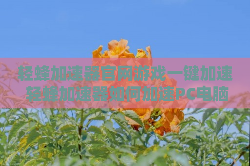 轻蜂加速器官网游戏一键加速 轻蜂加速器如何加速PC电脑