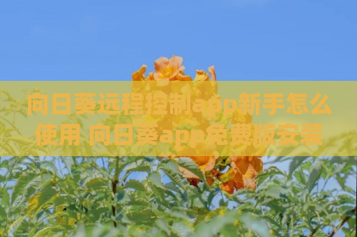 向日葵远程控制app新手怎么使用 向日葵app免费版安装