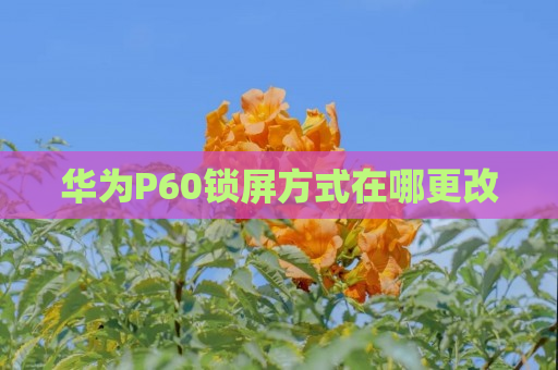 华为P60锁屏方式在哪更改