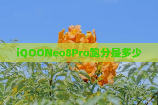 iQOONeo8Pro跑分是多少