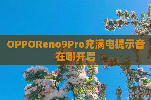 OPPOReno9Pro充满电提示音在哪开启