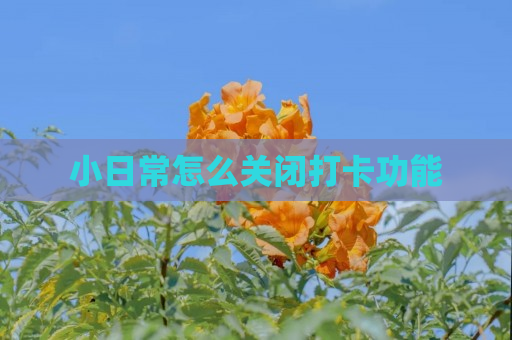 小日常怎么关闭打卡功能