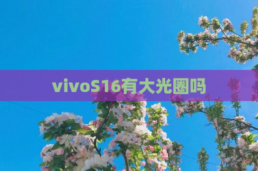 vivoS16有大光圈吗