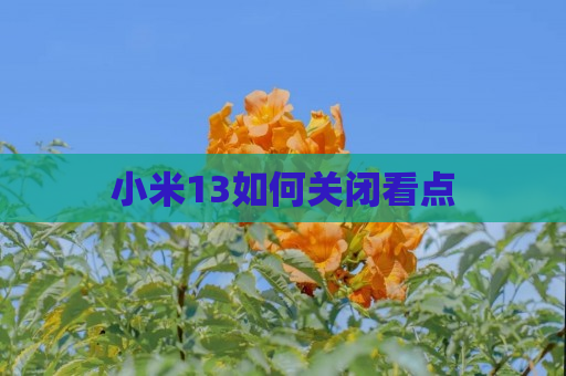 小米13如何关闭看点