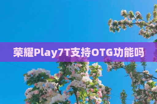 荣耀Play7T支持OTG功能吗