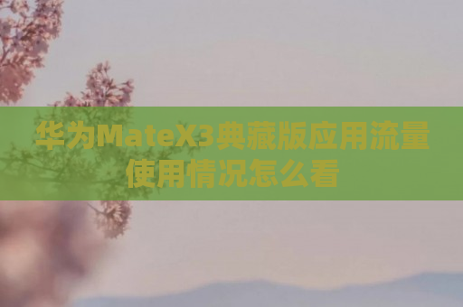 华为MateX3典藏版应用流量使用情况怎么看