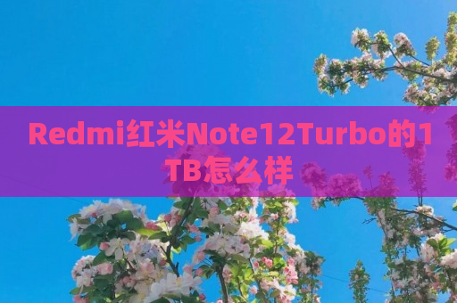 Redmi红米Note12Turbo的1TB怎么样