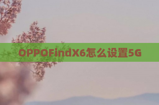 OPPOFindX6怎么设置5G