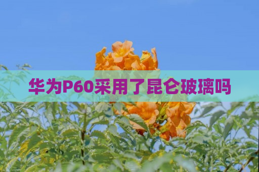 华为P60采用了昆仑玻璃吗