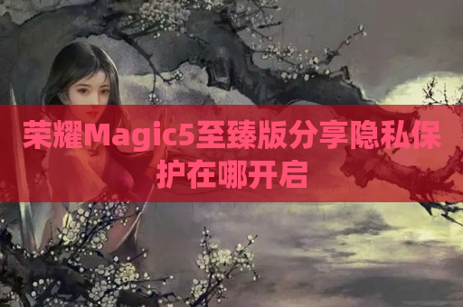 荣耀Magic5至臻版分享隐私保护在哪开启