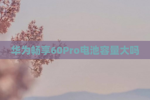 华为畅享60Pro电池容量大吗