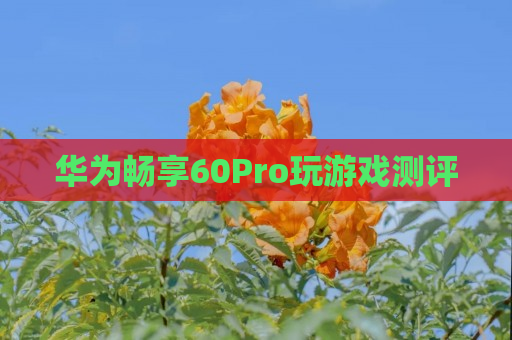 华为畅享60Pro玩游戏测评