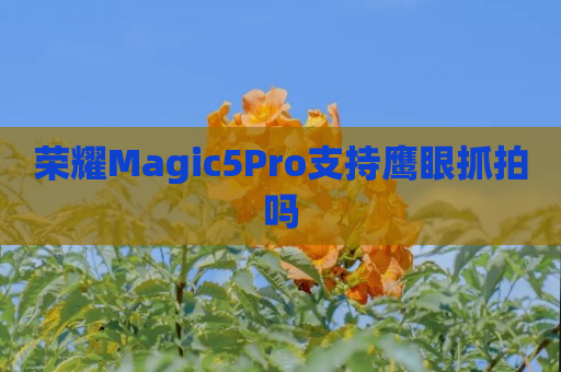 荣耀Magic5Pro支持鹰眼抓拍吗