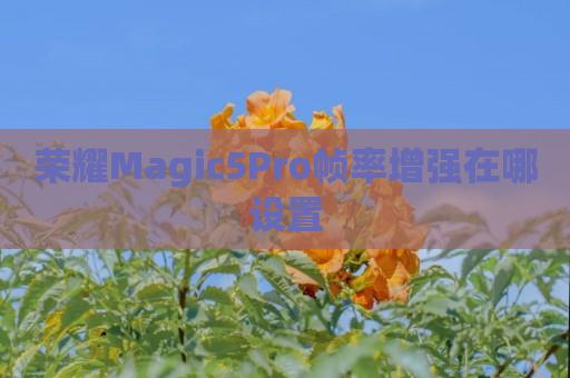 荣耀Magic5Pro帧率增强在哪设置