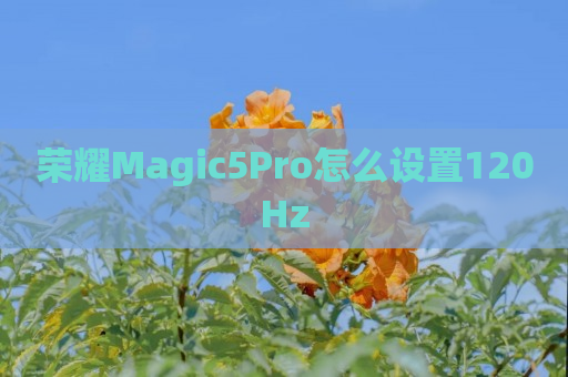 荣耀Magic5Pro怎么设置120Hz