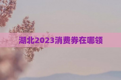 湖北2023消费券在哪领