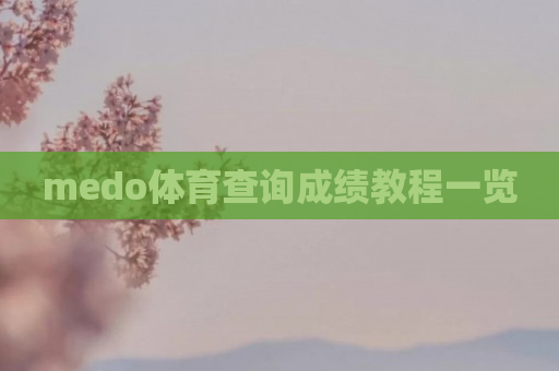 medo体育查询成绩教程一览