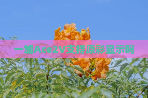 一加Ace2V支持原彩显示吗