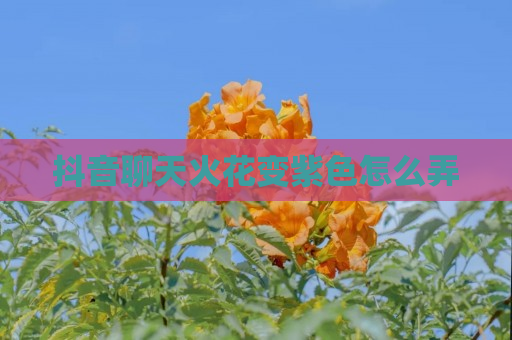 抖音聊天火花变紫色怎么弄