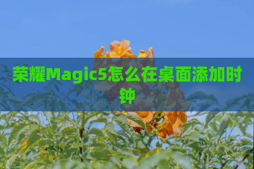 荣耀Magic5怎么在桌面添加时钟