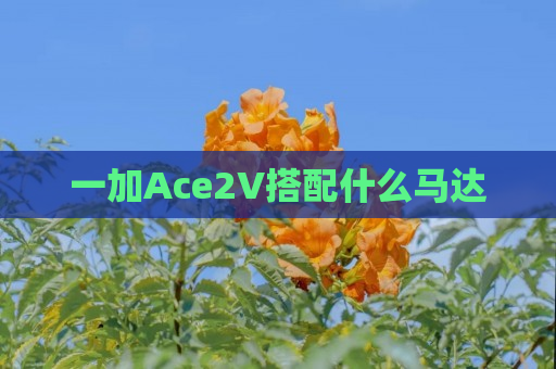 一加Ace2V搭配什么马达