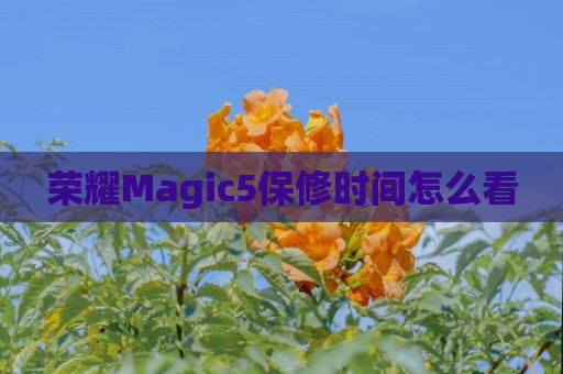 荣耀Magic5保修时间怎么看