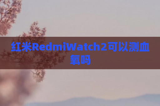 红米RedmiWatch2可以测血氧吗