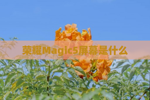 荣耀Magic5屏幕是什么