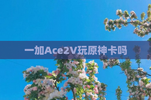 一加Ace2V玩原神卡吗