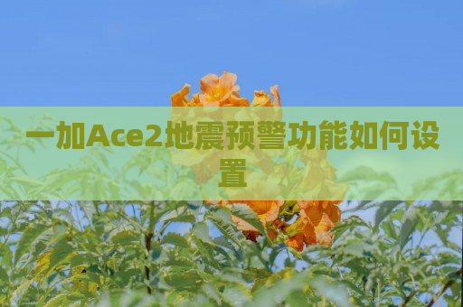 一加Ace2地震预警功能如何设置