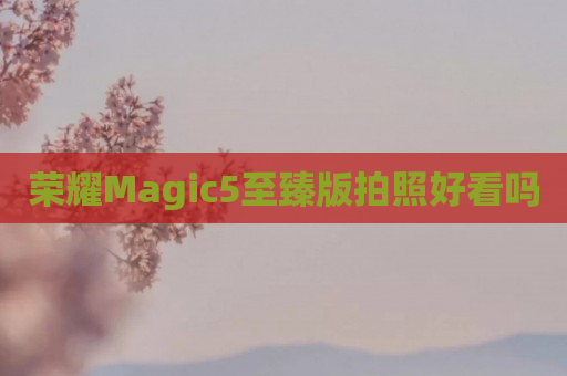 荣耀Magic5至臻版拍照好看吗