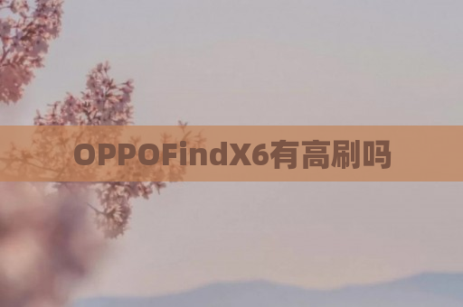 OPPOFindX6有高刷吗