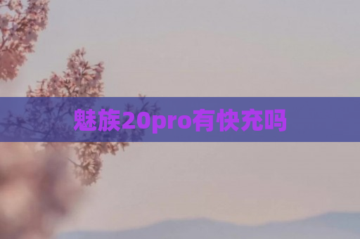 魅族20pro有快充吗