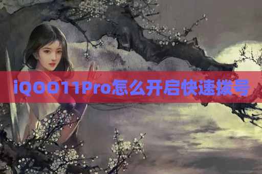 iQOO11Pro怎么开启快速拨号