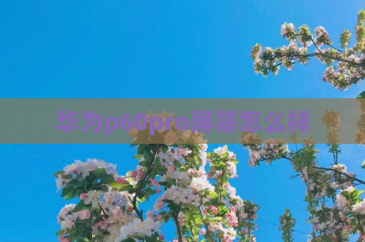 华为p60pro屏幕怎么样