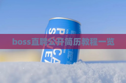 boss直聘公开简历教程一览