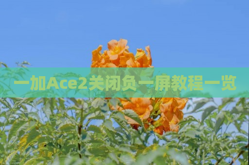 一加Ace2关闭负一屏教程一览