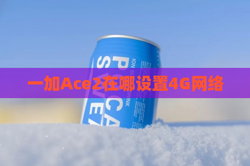 一加Ace2在哪设置4G网络