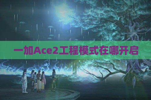 一加Ace2工程模式在哪开启