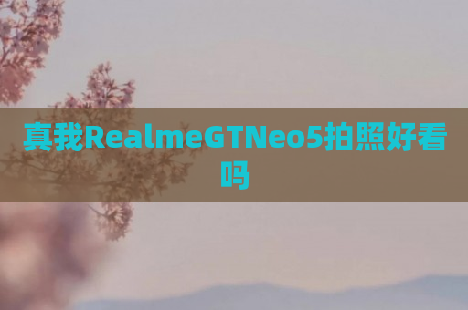 真我RealmeGTNeo5拍照好看吗