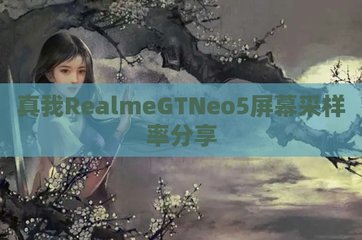 真我RealmeGTNeo5屏幕采样率分享