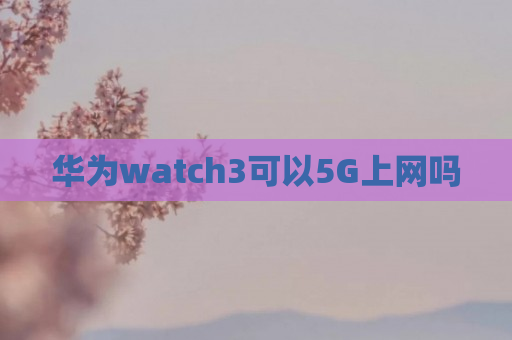 华为watch3可以5G上网吗