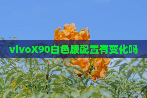 vivoX90白色版配置有变化吗