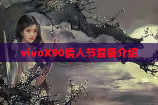 vivoX90情人节套餐介绍