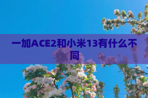 一加ACE2和小米13有什么不同