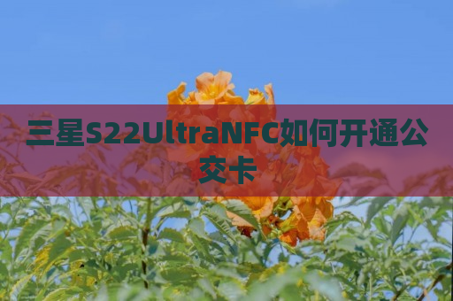 三星S22UltraNFC如何开通公交卡