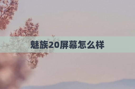 魅族20屏幕怎么样