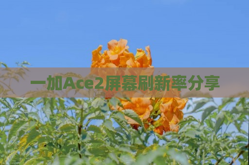 一加Ace2屏幕刷新率分享